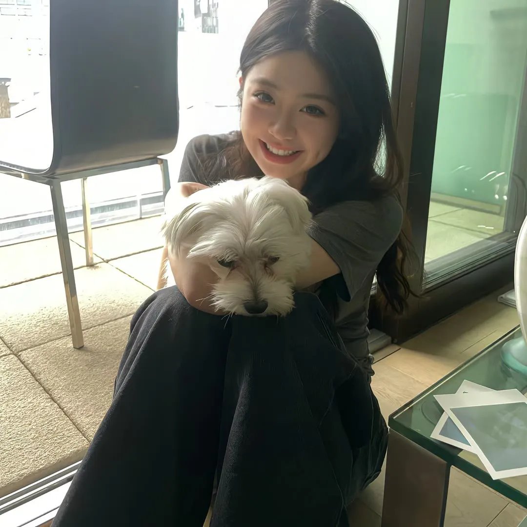 两万种蜜蜂